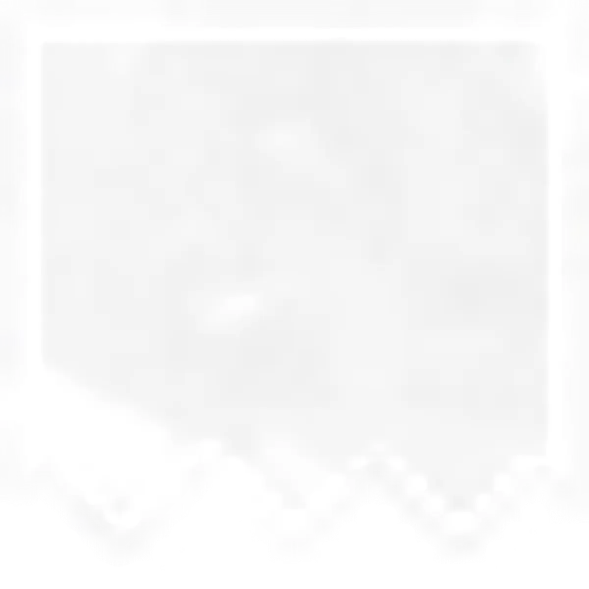Adviceslip