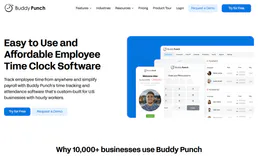 Buddy Punch