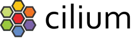 Cilium (eBPF Networking)
