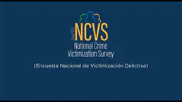 DOJ NCVS Crime Data