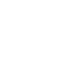 Odicci