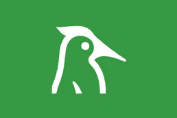 Woodpecker CI