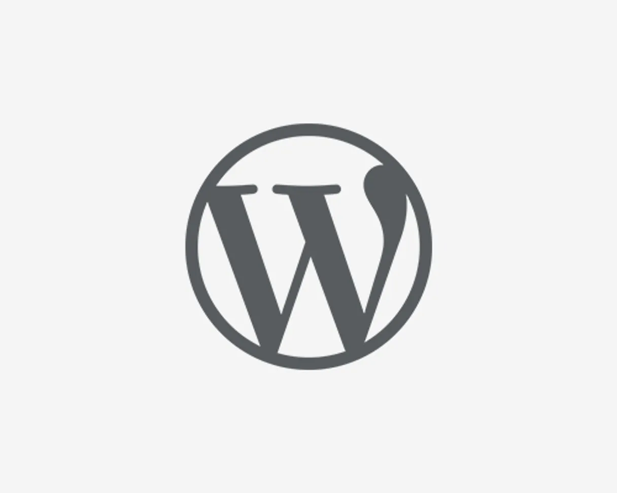 WordPress Plugin Auditor